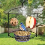 Nature's Manner BBFM1 Bluebird Buffet Steel Chicken Feeder with Protecting B... - Image 3