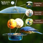Nature's Manner BBFM1 Bluebird Buffet Steel Chicken Feeder with Protecting B... - Image 5