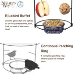 Nature's Manner BBFM1 Bluebird Buffet Steel Chicken Feeder with Protecting B... - Image 6