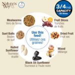 Nature's Manner BBFM1 Bluebird Buffet Steel Chicken Feeder with Protecting B... - Image 7