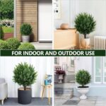 27.6" H Synthetic Vegetation Outside Set of two, Synthetic Cypress Topiary... - Image 4