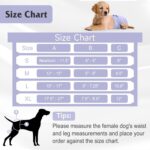 4 Pack Reusable Feminine Canine Diaper, Extremely Absorbent Doggie Diapers for... - Image 3