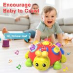 Child Crawling Toys 6-12 Months,Musical Ladybug Crawling Toy for Toddler... - Image 5