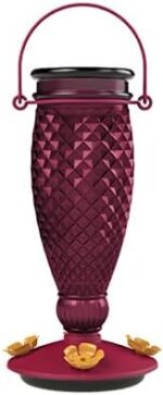 Perky-Pet Diamond Wine Prime Fill Glass Hummingbird Feeder with Constructed-in... - Image 4