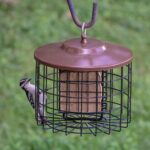 Extra Birds Hen Feeder- Double Cage - Image 4