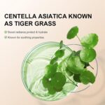 Model Shade Correcting CC Cream with Centella Asiatica, SPF 25, Full C... - Image 7