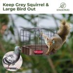 Kingsyard Squirrel Proof Platform Fowl Feeders for Outside Hanging, 10... - Image 5