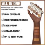 FOCALLURE #GoldenAge 5 in 1 Multi Makes use of Concealer Palette, 5 Colours Cor... - Image 5