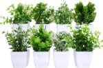 VENTO 8 Pack Synthetic Crops with Pot, Reasonable Mini Faux Greenery ... - Image 9