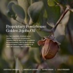 Ogee Complexion Perfecting Liquid Basis - Light-weight Tinted Mois... - Image 4