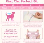 Dono Disposable Pull It Up Feminine Canine Diapers, 360° Stretchy Waist Pup... - Image 3