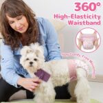 Dono Disposable Pull It Up Feminine Canine Diapers, 360° Stretchy Waist Pup... - Image 4
