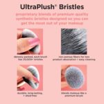 Actual Methods 5 Piece On a regular basis Necessities Make-up Brush Set, Consists of... - Image 10