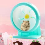 GKYZBB Hamster Wheel, 7 inch Silent Hamster Train Working Wheel wit... - Image 8