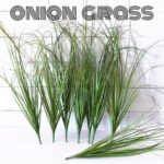 8PCS Synthetic Crops, Shrubs Wheat Grass Greenery Stems for Residence Dec... - Image 4