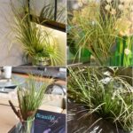 8PCS Synthetic Crops, Shrubs Wheat Grass Greenery Stems for Residence Dec... - Image 6