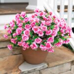 Synthetic Pretend Outside Exterior Flowers Crops For Fall Decor, Fake Si... - Image 4