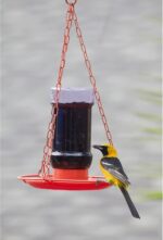 Perky-Pet Oriole 32 oz. Plastic Nectar Feeder 1 Ports - Image 10