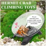 Hermit Crab Train Wheel - Silent Operating Wheel for Crab Tank Entry... - Image 7