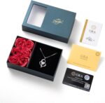 Pendant Necklace Presents for Ladies, Sterling Silver Moissanite Coronary heart Nec... - Image 7