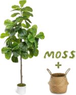 6FT Synthetic Fiddle Leaf Fig Tree - Tall Pretend Tree with White Plante... - Image 2