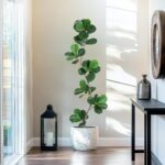 GarveeHome Synthetic Fiddle Leaf Fig Tree - 6 ft Pretend Plant with Blac... - Image 2