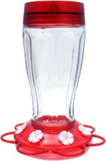 Extra Birds Fowl Well being+ Large Gulp Hummingbird Feeder, Glass Hummingbird... - Image 2