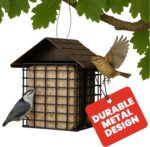 Extra Birds Double Suet Feeder with Climate Guard, 6.5" L X 4.25" W X 7... - Image 2