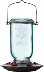 Extra Birds Mason Jar Hummingbird Feeder, Glass Hummingbird Feeders for... - Image 2