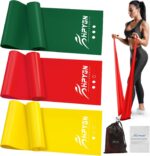 Resistance Bands, Train Bands, Bodily Remedy Bands for Energy ... - Image 2