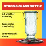 Extra Birds Classic Hummingbird Feeder, Vintage Glass Bottle, 5 Feeding... - Image 3