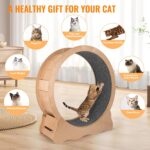 Cat Wheel, Cat Train Wheel, 39.4" Operating Wheels for Indoor Cats, S... - Image 9