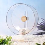BUCATSTATE Hamster Wheel Silent 12.5inch, Acrylic Hamster Train Whe... - Image 6
