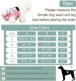 Canine Diapers Feminine- Premium Reusable Diapers for Doggie in Warmth - Excessive... - Image 4
