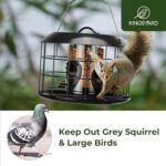 Kingsyard Mesh Caged Fowl Feeders for Out of doors Hanging, Tube Squirrel P... - Image 5