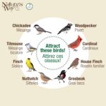 Nature's Approach Cobalt Steel Mesh Blended Seed and Peanut Chicken Feeder for W... - Image 6