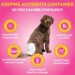 OUT! PetCare Disposable Canine Diapers Feminine, Potty Coaching, Canine Diaper... - Image 4
