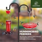 Kingsyard 2 Pack 16 OZ Hummingbird Feeders for Open air Hanging, 6 Bee... - Image 8