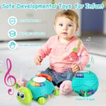 Musical Turtle Child Toys 6 to 12 Months, Toddler Mild up Music Toys Tu... - Image 7