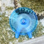 Hamster Wheel Flying Saucer Silent Train Wheel Operating Wheel for Ha... - Image 4