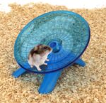 Hamster Wheel Flying Saucer Silent Train Wheel Operating Wheel for Ha... - Image 5