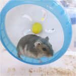 WishLotus Hamster Operating Wheel, Silent Jogging Train Toy Hamsters ... - Image 7
