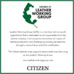 Citizen Quartz Mens Watch, Stainless Metal with Leather-based Strap, Informal - Image 3