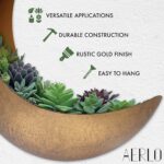 Wall Mounted Metallic Moon Planter - Hanging Crescent Pot for Succulents,... - Image 6
