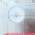 MERRYHAPY Hamster Wheel for Guinea Pig Chinchilla Gerbils Quiet Runnin... - Image 4