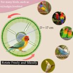 Birds Operating Wheel Train Toys, Parrot Hamster Train Wheel Toy, ... - Image 3