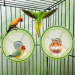 Birds Operating Wheel Train Toys, Parrot Hamster Train Wheel Toy, ... - Image 7