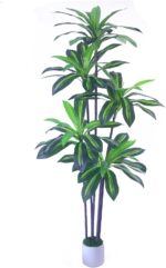 Synthetic Dracaena Tree 6ft-Tall Faux Tree for House Decor Indoor - Re... - Image 2