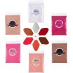 Lip Gloss Pigment Powder Pure Lip Dye 5 Colours x 10G and White Meta... - Image 2