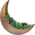 Wall Mounted Metallic Moon Planter - Hanging Crescent Pot for Succulents,... - Image 2